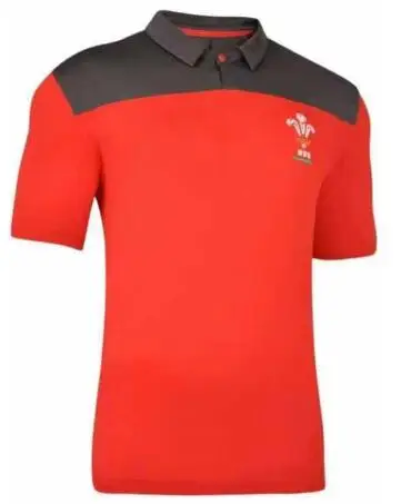 Wales регби Поло рубашка Размер: S-5XL - Цвет: NO Print