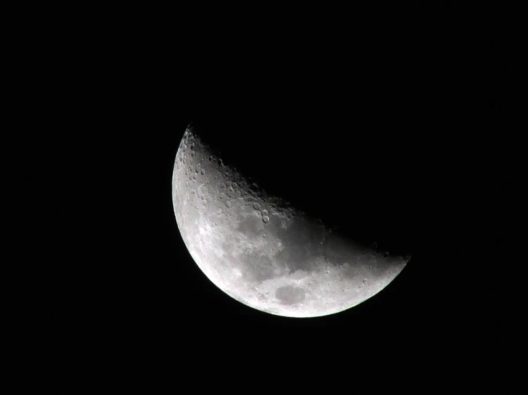 51yIgyOHD+L._SL1000_