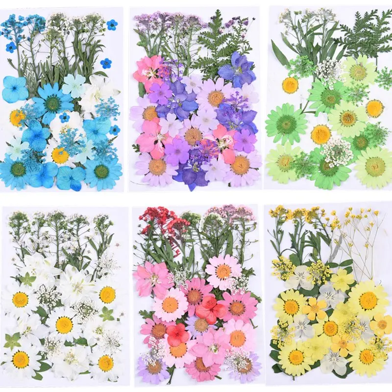 

Dried Flowers Dry Plants Decoration Pressed Flower Epoxy Resin Mold Filling Jewelry Crafts Filler For DIY Jewelry Making