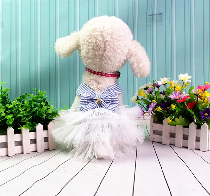 cute dog clothes