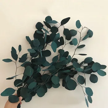 

1 Bunch Natural Eucalyptus Leaves Indoor Dried Flowers Small Bouquet Leaf Material DIY Home Decoration