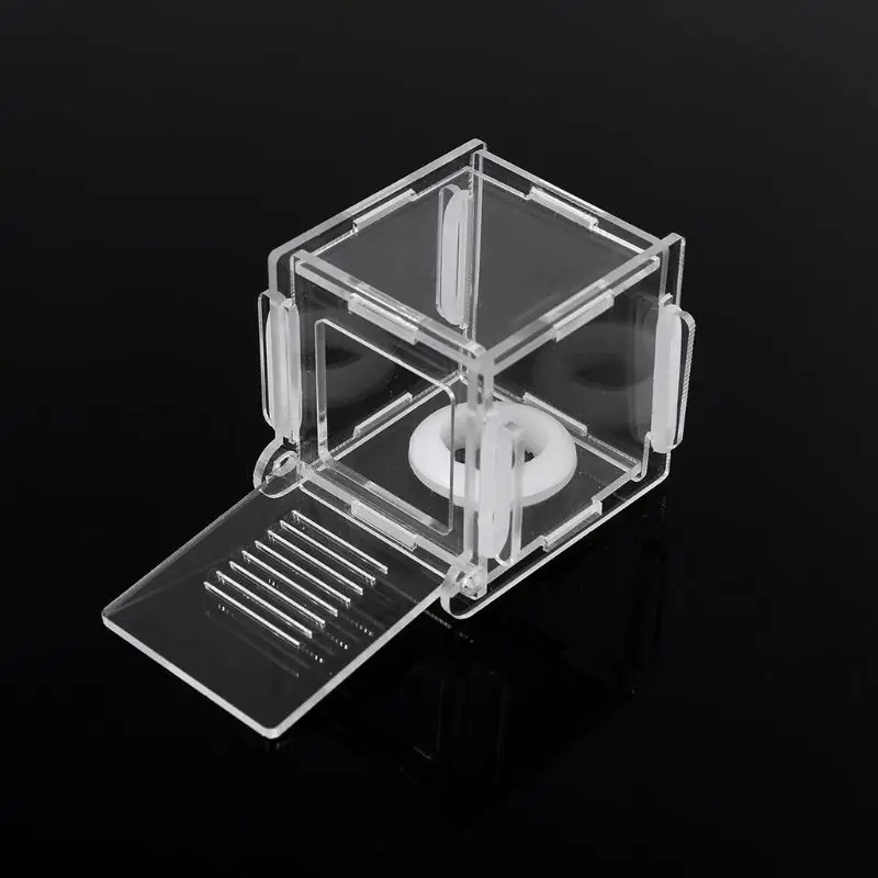 Ant Nest Glass Tube Mini Insect House Acrylic Farm with Active Zone