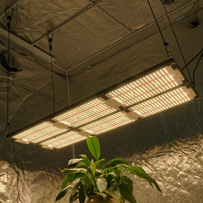 KingBrite 600W Highest Yielding LM301H+Red 660nm Led Grow LightGrowing