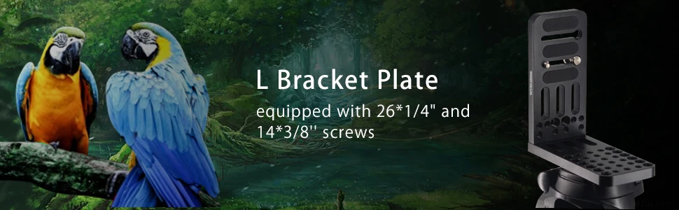 1061a0d3-2f4a-4e56-be1f-cfb8e11f08da.__CR0,0,970,300_PT0_SX970_V1___