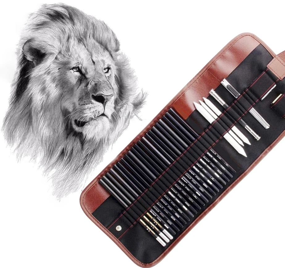 Conjunto de Esboço Caneta de Carvão Completo de Estudantes com Ferramentas de Pintura Suprimentos de Arte Conjunto Profissional Iniciante Esboço Pintura Essencial
