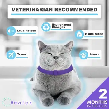 

Relieve Anxiety Soothing Calm 38 Cm Cat Calm Collar Safe Healthy Fast Comforting Collar Purple Plastic Reusable Cat Calm Collar