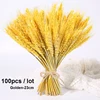 100pcs-23cm-Gold