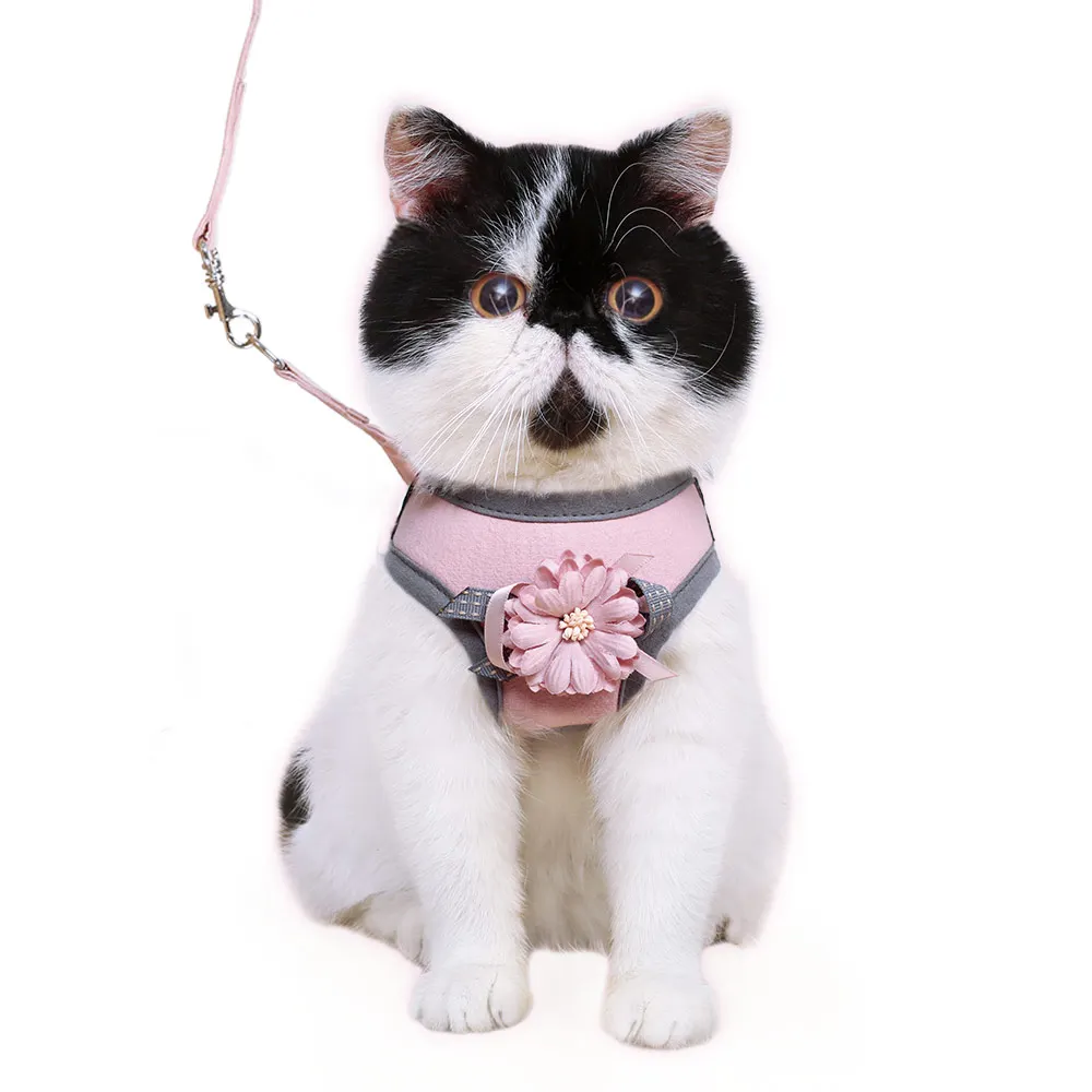 Beautiful Fashion Cat Collar Colorful Luxury Safety Bow Tie Cat Collar