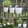 Garden Supplies