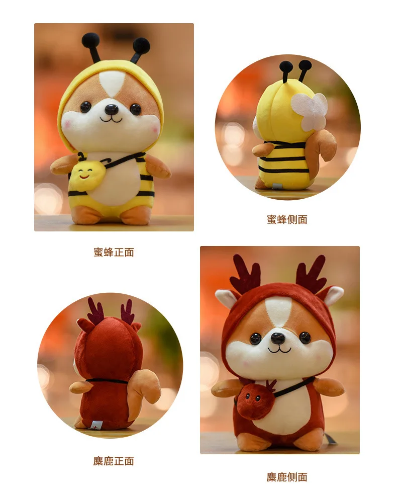 10901443876_79680020