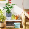 Garden Supplies