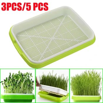 

Soilless Culture Beans Hydroponics Seed Germination Tray Seedling Sprout Plate Grow Nursery Pots Vegetable sprouting Trays tools