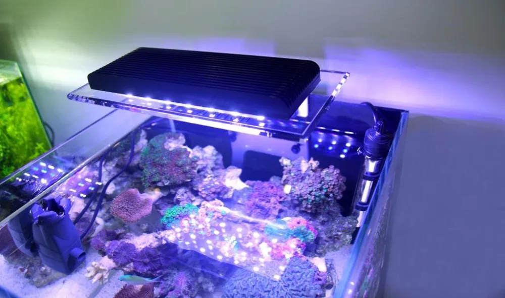 ZETLight ZA-1201 wifi Coralline светодиодный светильник wifi контроль кораллового выращивания морских коралловые рифы для аквариума аквариум