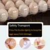 Blank Egg Cartons Bulk 5 Packs - Holds 12 Eggs 1 Dozen,  Reusable Plastic Egg Trays for Family Pasture Chicken Farm 4