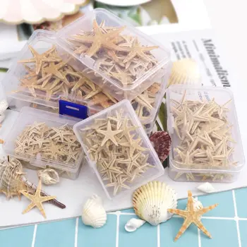 

1 Box Natural Starfish Seashell Beach Craft Natural Sea Stars DIY Beach Wedding Decoration Epoxy Resin Art Crafts1-5cm