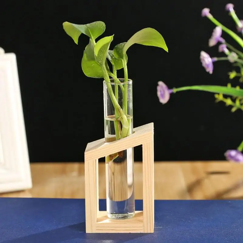 Гидропонная фотография Terrarium винтажный цветочный горшок прозрачная деревянная