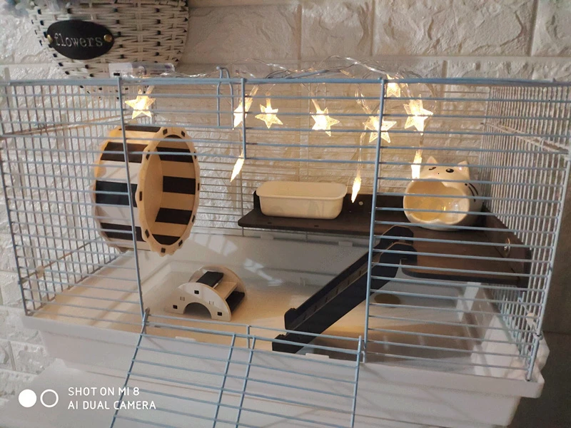 47 см foundation cage хомяк Золотой медведь 60 см foundation cage meal крупногабаритная клетка