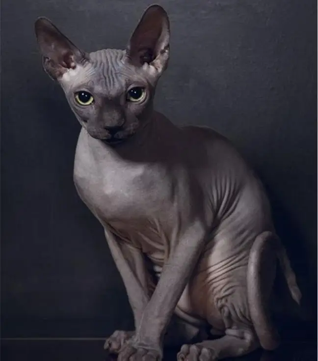 360截图20200510160912750