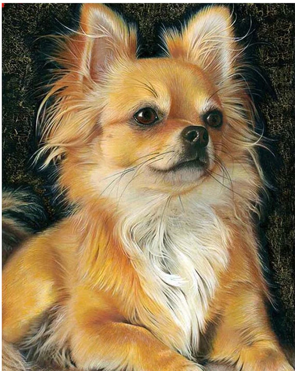 H8117-1 Full Drill Square 5D Diy Diamond Painting Chihuahua Dog Diamond Embroidery Cross Stitch Rhinestones Paintings By Number H8117 - Цвет: H8117-1