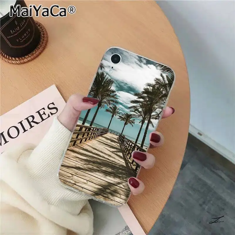 Summer Beach Scene at Sunset on sea Palm Tree