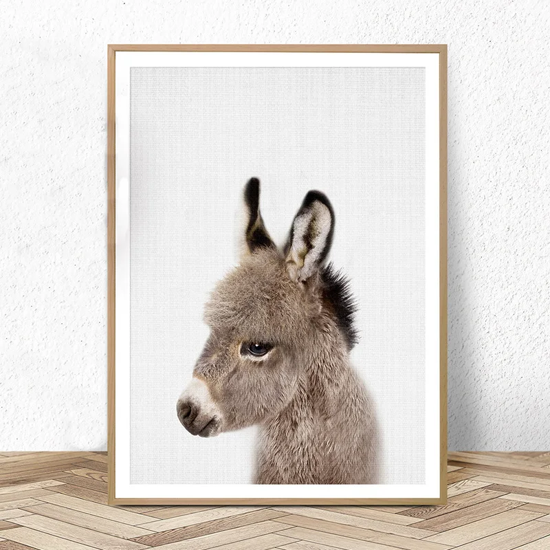 15+ Best Donkey wall art images information