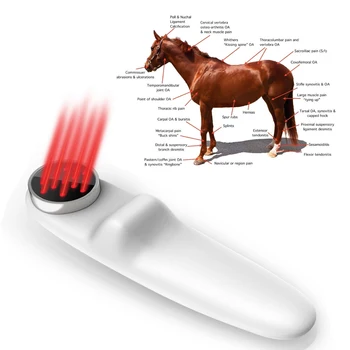 

Cold Laser Red Light Therapy Device LLLT for Shoulder Joint Muscle Pain Reliever Safe for Pet