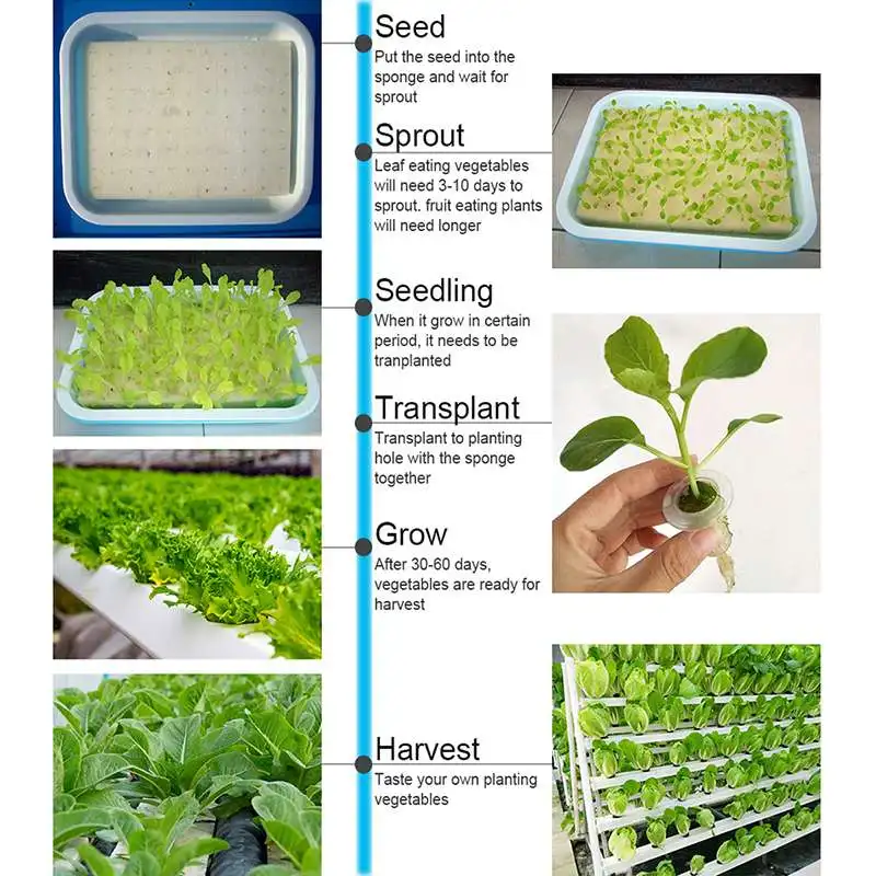 72 сайт гидропонная система горшок для рассады горшок для помещений садовый набор для выращивания овощей цветок водное растение Soilless рассады стенд