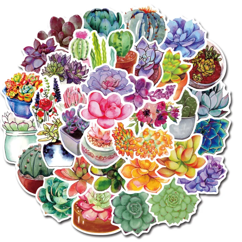 50Pcs Succulent Plants Series Mixed Cactus Stickers For Notebook PC Skateboard 
