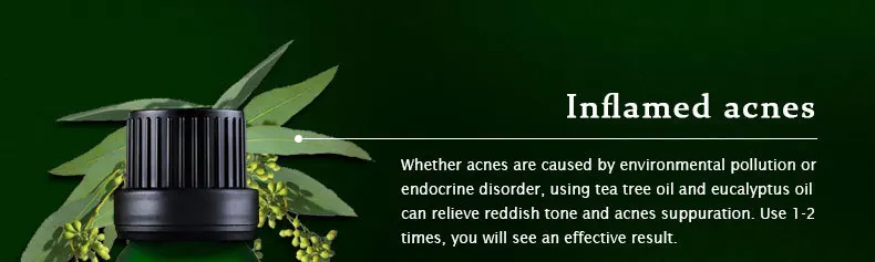 tea_tree_14