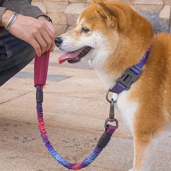 

NewPet Durable Dog Leash 2 Handle Control 4 Colors Nylon Basic Leashes Dog Collar Leashes Training Walking Leashes for Pet Dogs.