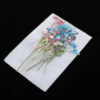 12pcs/bag Real Babysbreath Pressed Leaves Natural Dried Flowers for Scrapbooking Card, Art Crafts, Epoxy Resin Jewelry Craft