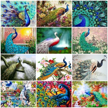 

HUACAN Painting By Number Peacock Animal Hand Painted Picture By Numbers Wall Art DIY For Adults Gift Home Decoration
