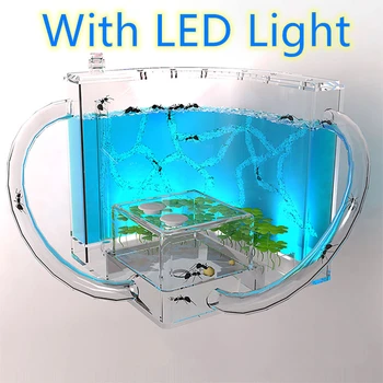 

LED Ant Farm Nest House Glow Dark Sicence Experiment Acryl Insect Villa Funny Pet Educational Toys For Gifts School Student Kid