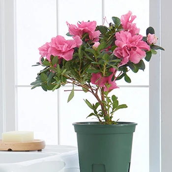 

10PCS Round Green Mountain Basin Root Control Flower Pot Breathable Gallon Basin