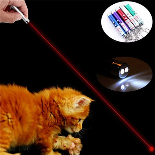 3 in 1 Mini Red Laser Pointer Pen LED Flashlight Show Funny Pet stick Childrens Cat Toy Money Detector Pen Torch With Keychain
