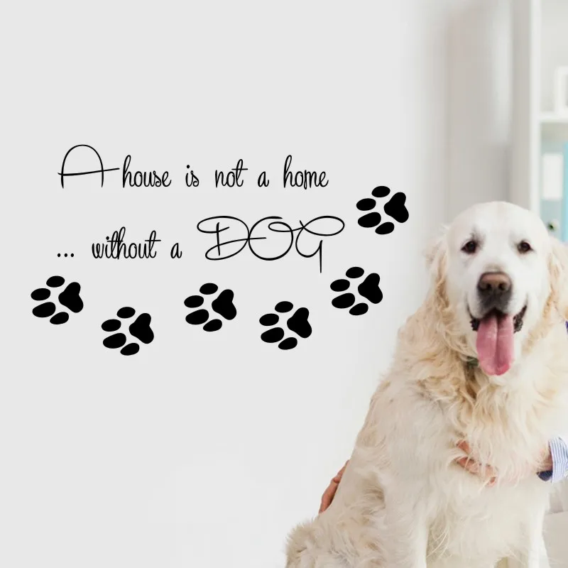 DCTAL Pet Shop Vinyl Wall Decal Dog Quote  Pet Home Interior  Mural Wall Sticker Pet Salon Room Home Decoration