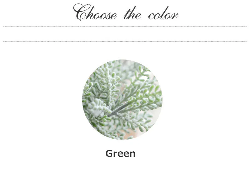 3607274207_798695559