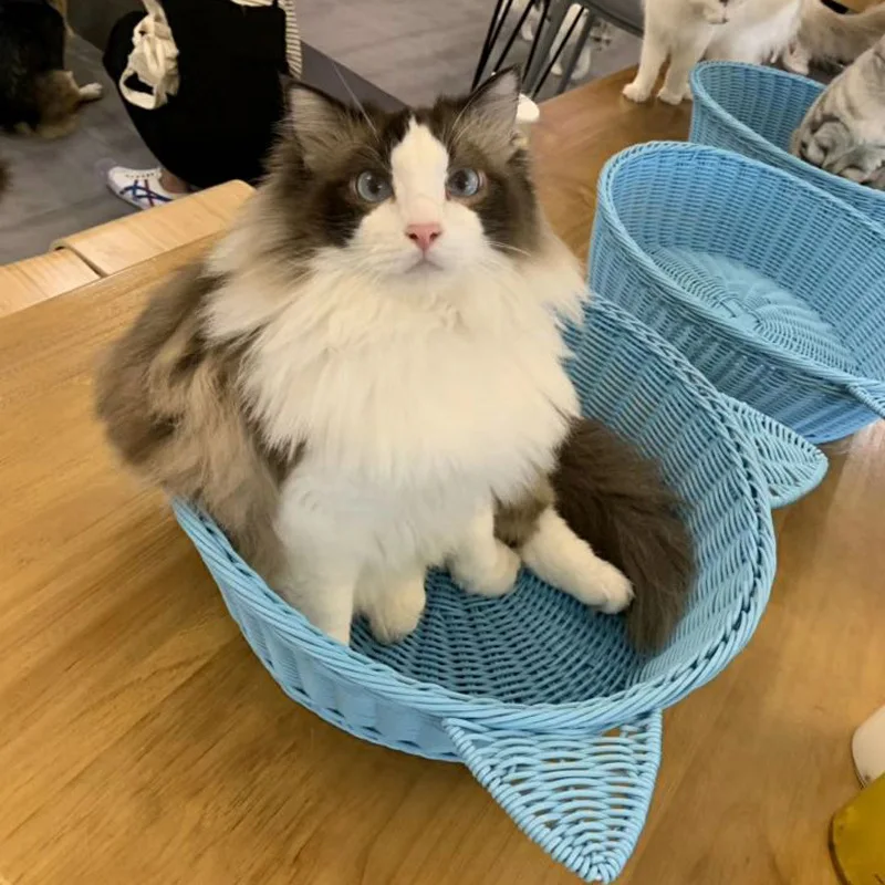 

House for cat Pet Bed Nest Hand-woven Crafts Basket Rattan Basket Creative Cat and Dog Bed Nest dog bed kitten beds