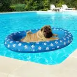 

Cooling Portable Foldable For Dog Cat Water Fun Claw Pattern With Holes Swimming Pool Beach Toy Oval Inflatable Pet Float PVC