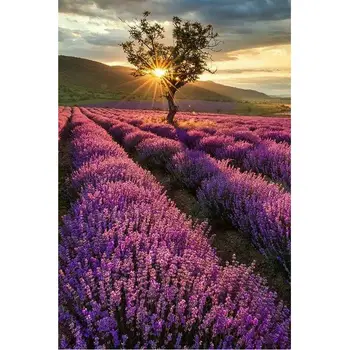 

DIY Diamond Painting Cross Stitch Kit lavender 5D Square Rhinestones Pictures full Diamond Embroidery Mosaic Crafts For Handmade