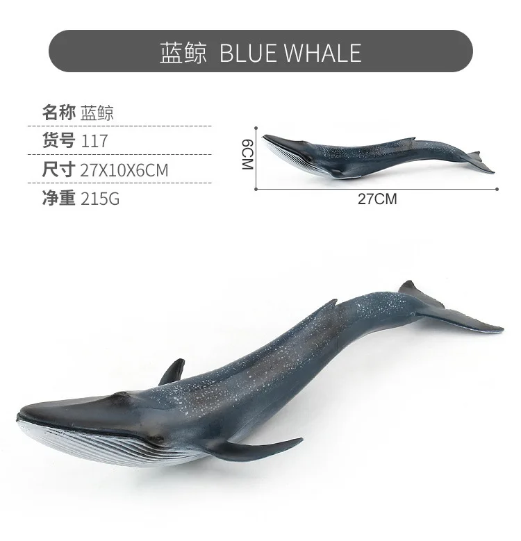 9888057256_1750629642