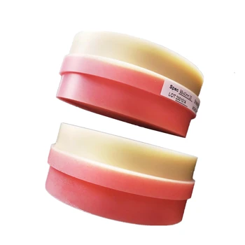 

2 pieces A2 colorCADCAM Full Denture Pink PMMA disc Dental material Full Crown Denture Open milling system