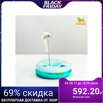 

Mysterious circle cat toy with teaser and ball, 24 x 24 x 7 cm