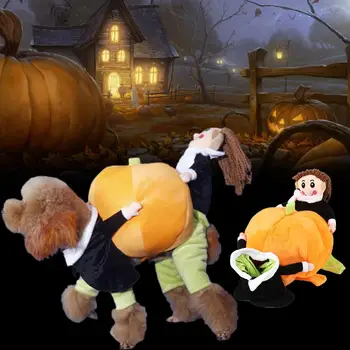 

Pumpkin Dog Clothes Halloween Pumpkin Four Feet Pumpkin Pet Costume Dressing