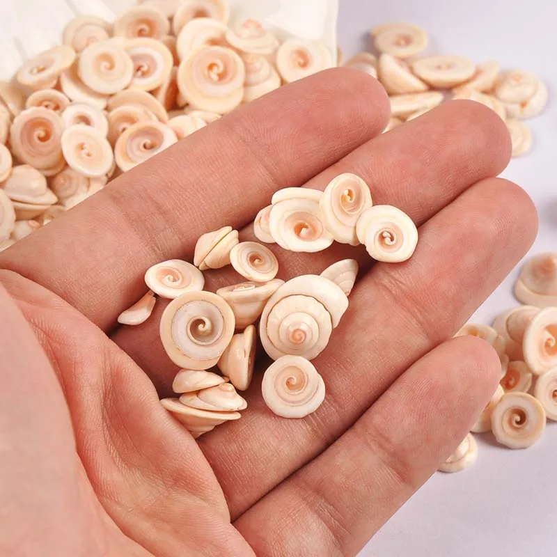 Mini Spiral Natural Shells natural shell ornaments For Flatback Cabochons Handmade Scrapbooking Crafts DIY Aquarium Seashells Home Decoration 50Pcs