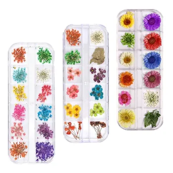 

Nail Flowers Dazzling Tips Nail Sticker Sequins Colorful Nail Art Decoration 3pc 12 Colors 3D Decoration Real Dry Dried Flower