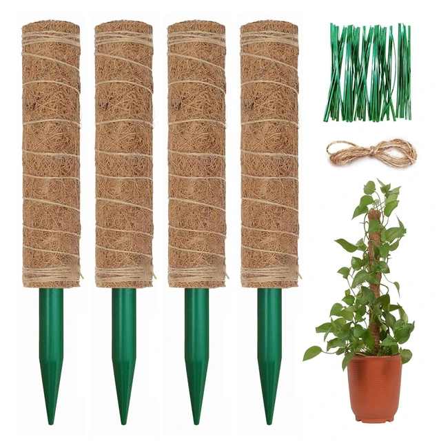 Bâtons de palmier pour plantes grimpantes, totem en coco de jardin