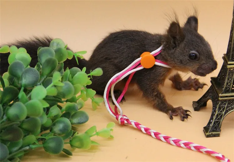 10443370361_1739661866