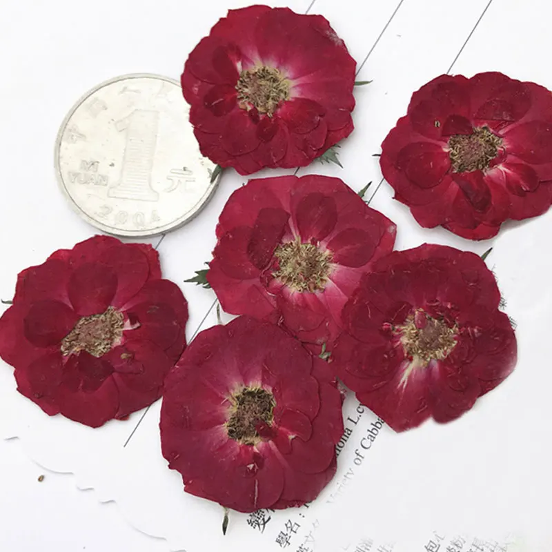 

Натуральные сушеные цветы красной розы, закладки, гербарий для открыток, оригинал, новинка 2023