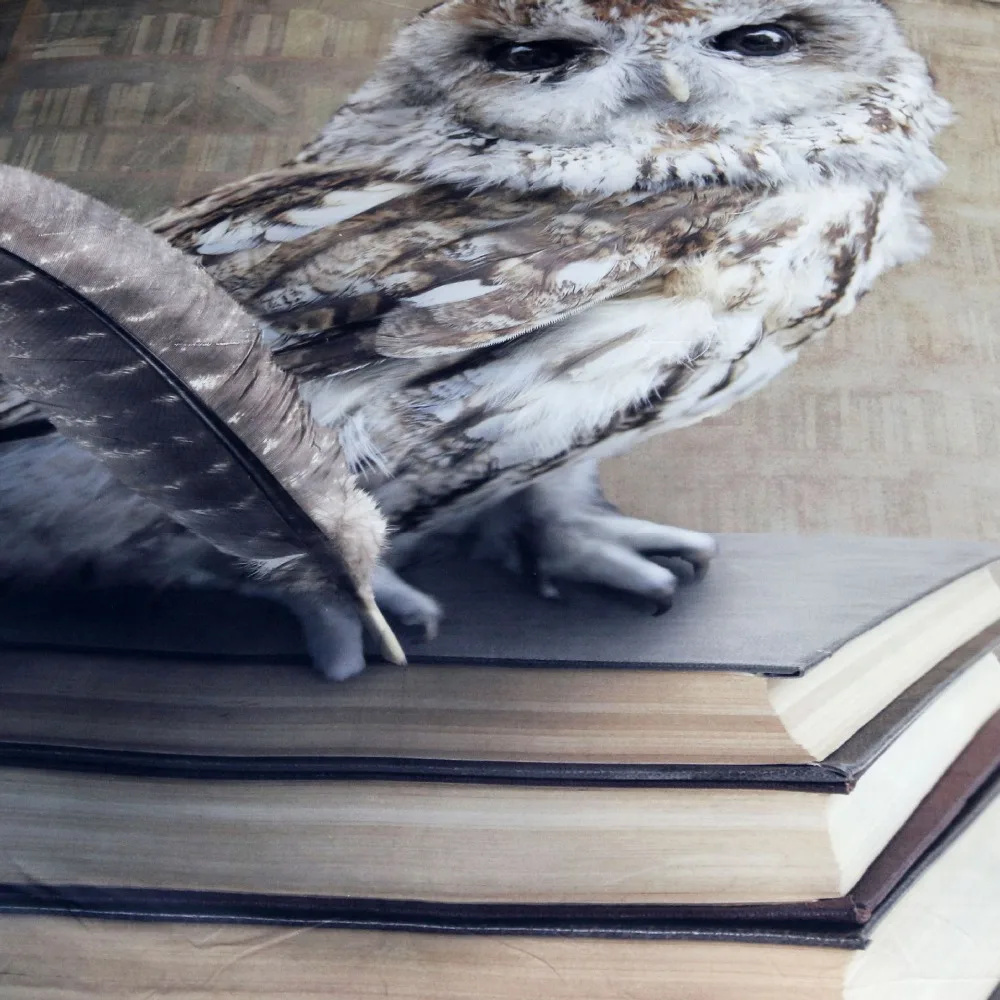 CAMMITEVER, 3 шт., постельное белье с изображением совы, одеяло, пододеяльник, наборы, мягкое постельное белье королевского размера, простой пододеяльник, Комплект постельного белья